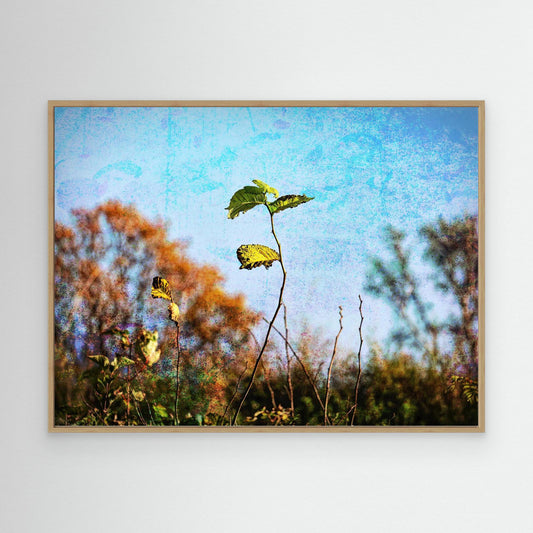 Still Standing Strong