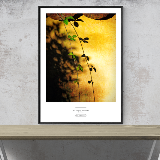 Afternoon Shadows⎜Plakat