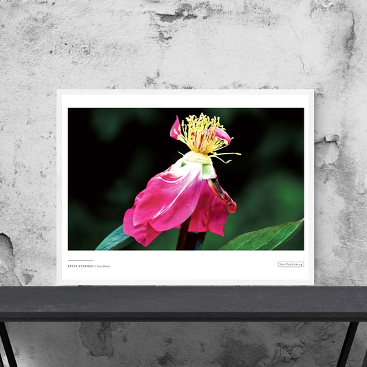 After the storm⎜Poster