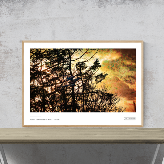 Moody Light close to Night⎜Plakat