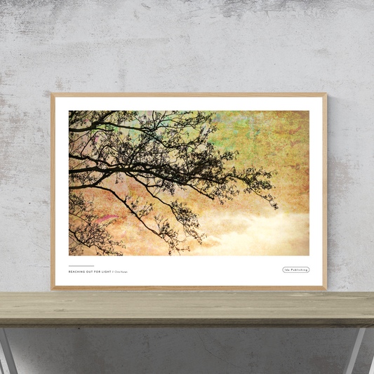 Reaching out for Light⎜Plakat