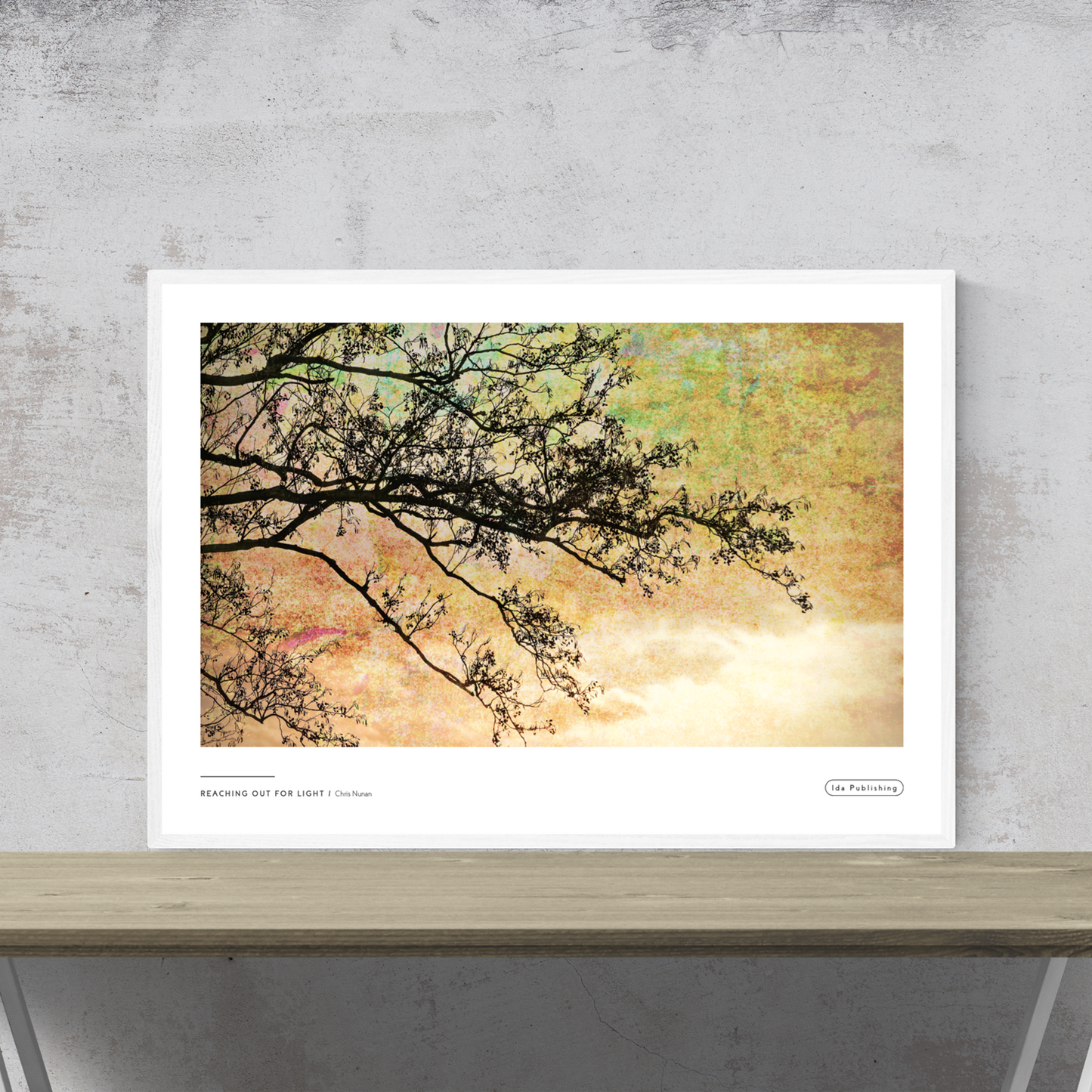 Reaching out for Light⎜Plakat