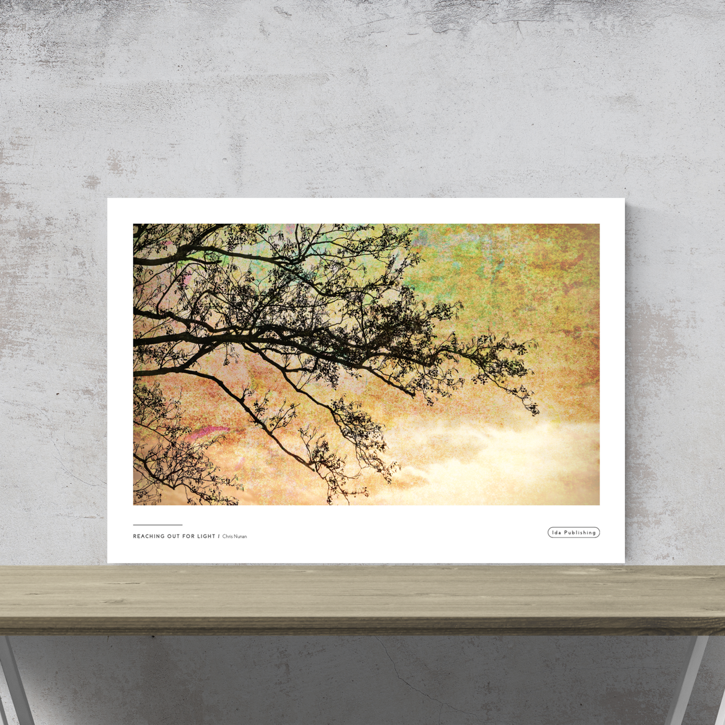 Reaching out for Light⎜Plakat
