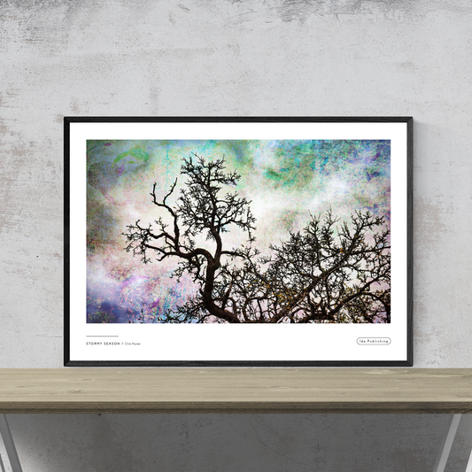 Stormy Season⎜Plakat