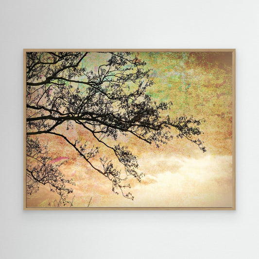 Reaching out for Light