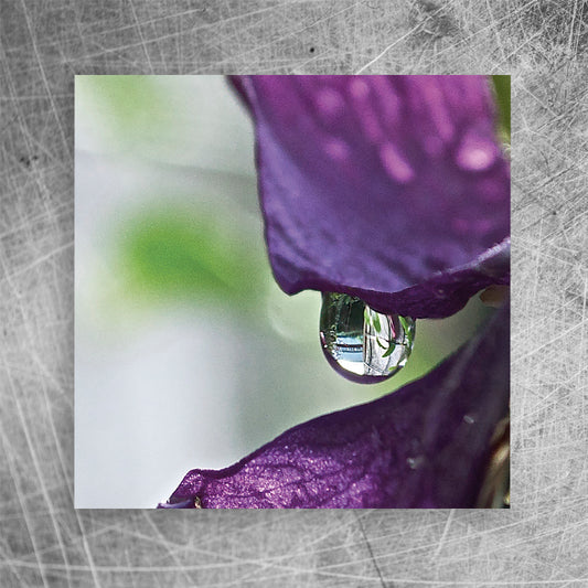 Dråbe⎜Lærredsprint