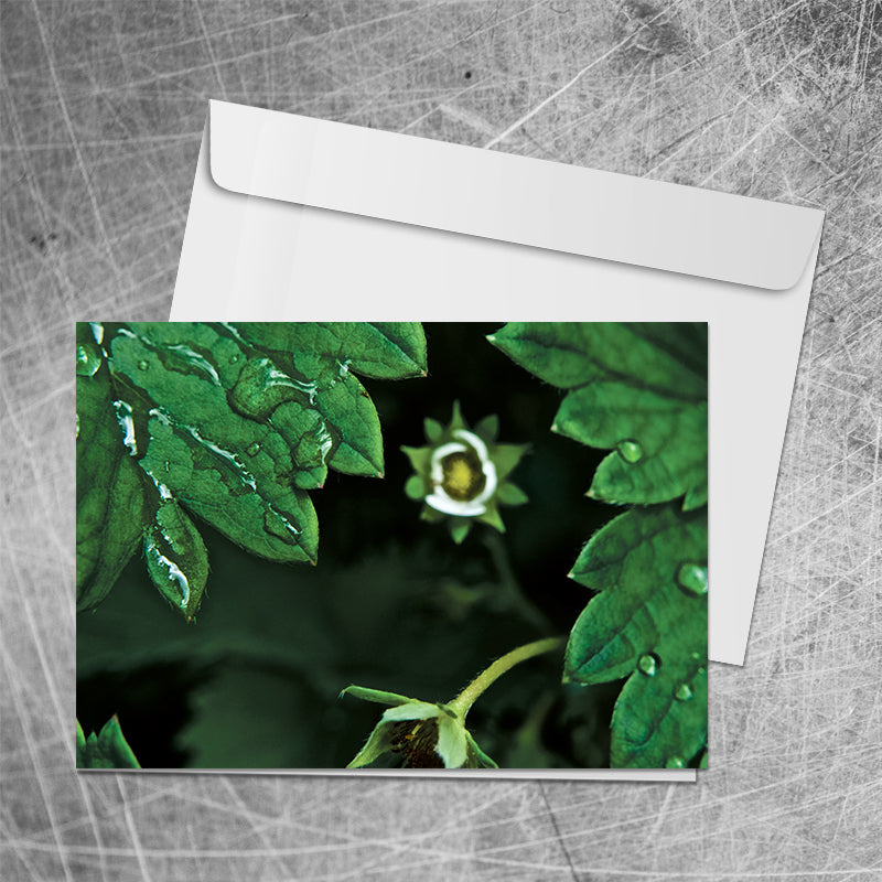 Strawberry Flower⎜Art Card