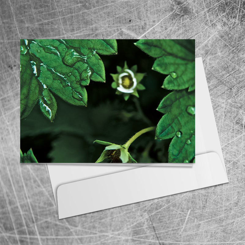 Strawberry Flower⎜Art Card