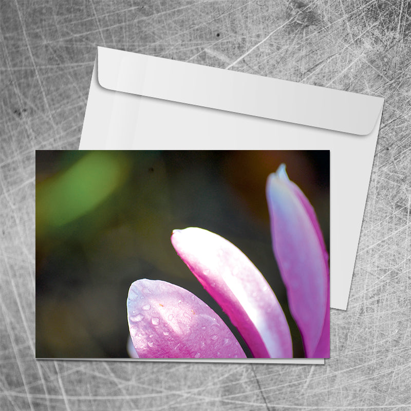 Petals⎜Art card