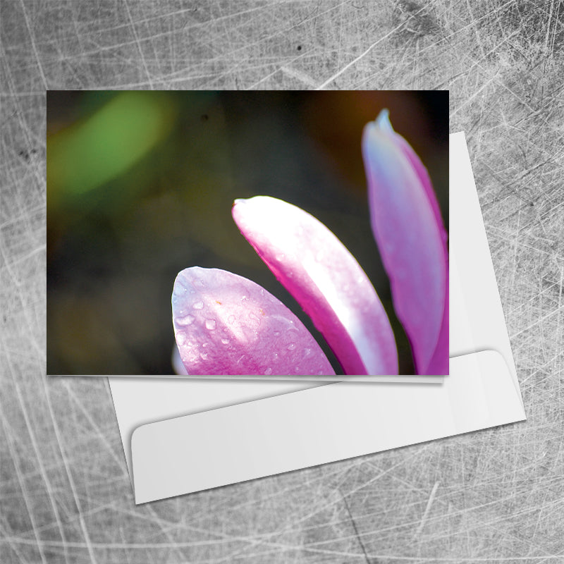 Petals⎜Art card