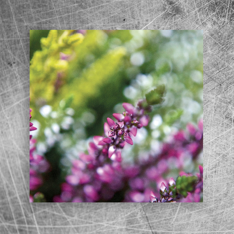 Heather⎜Canvas print