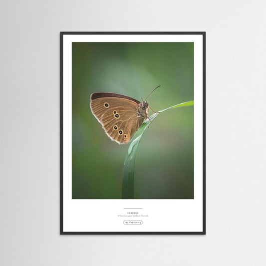 Randøje⎜Fine Paper Print