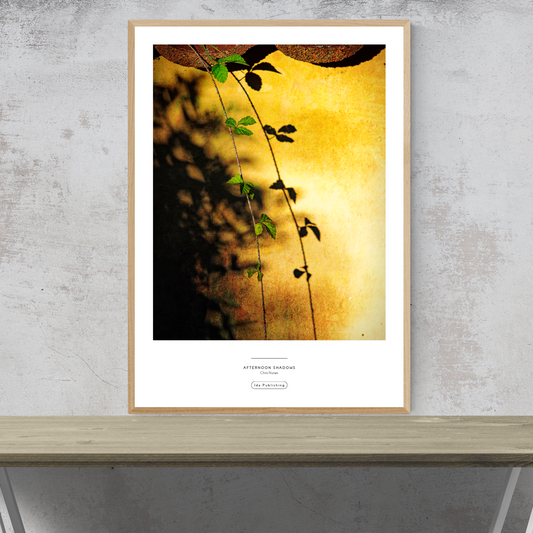 Afternoon Shadows⎜Plakat