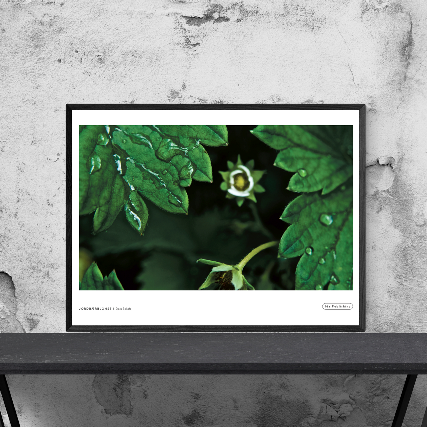 Strawberry Flower⎜Poster 