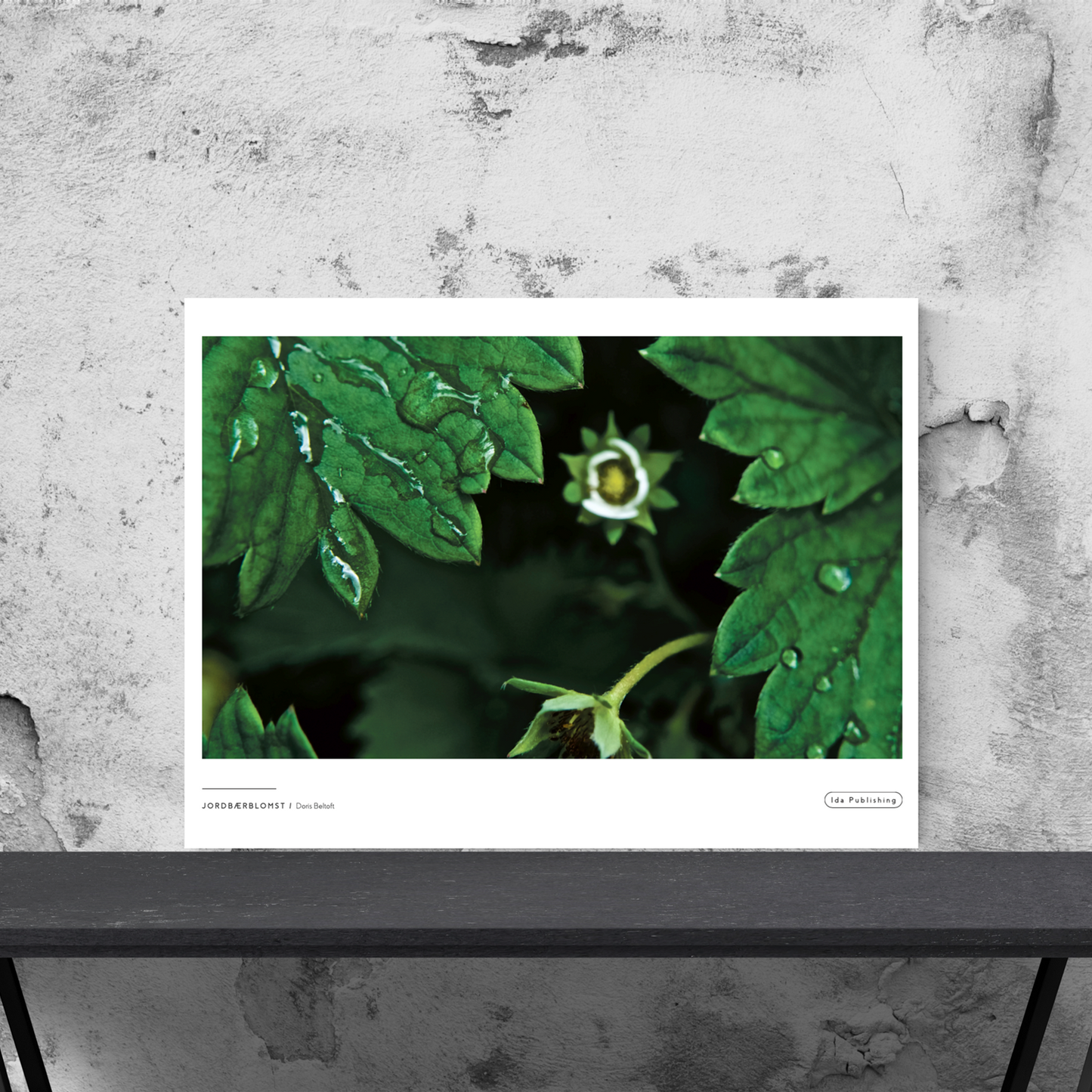 Strawberry Flower⎜Poster 