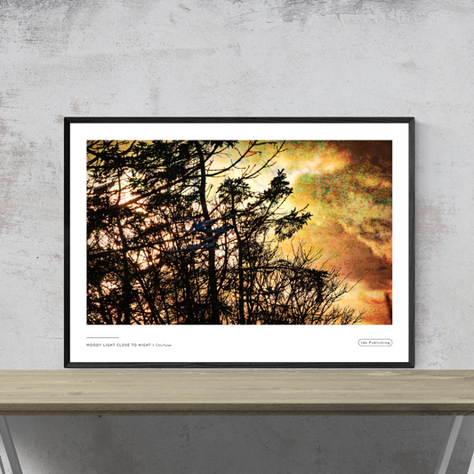 Moody Light close to Night⎜Poster
