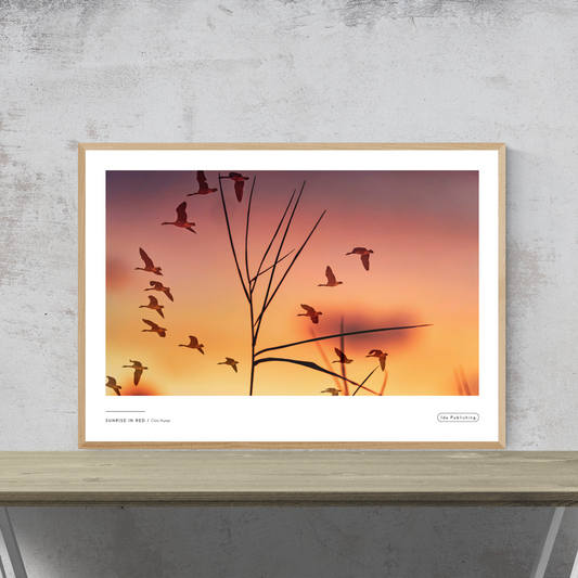 Sunrise in Red⎜Poster