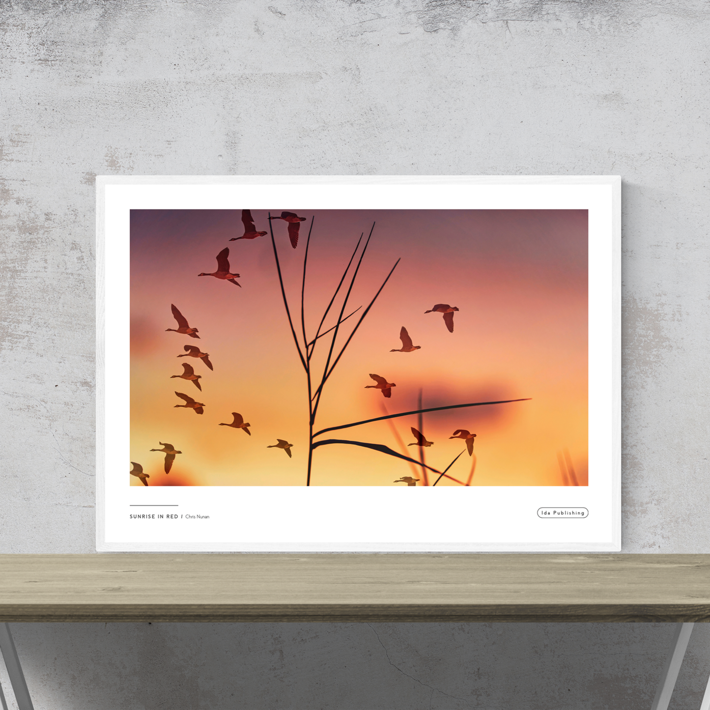 Sunrise in Red⎜Plakat
