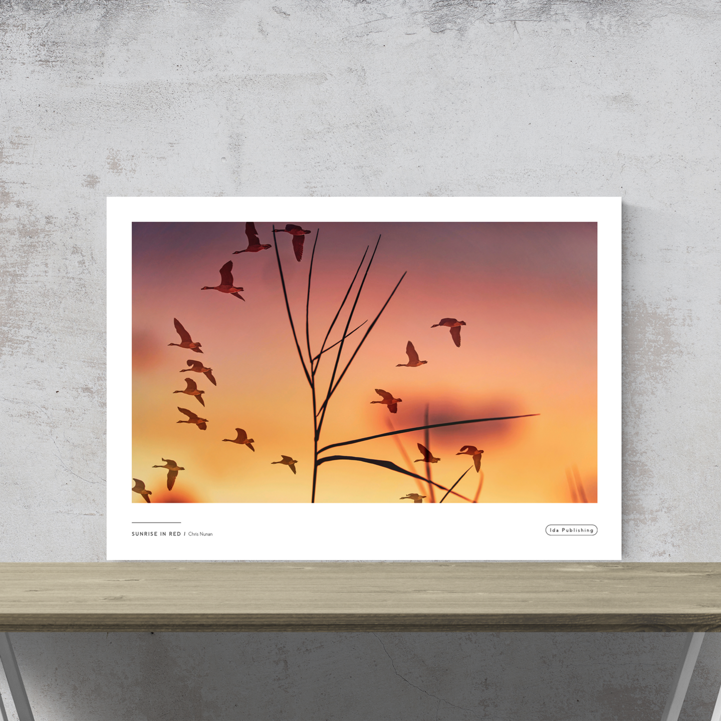 Sunrise in Red⎜Plakat