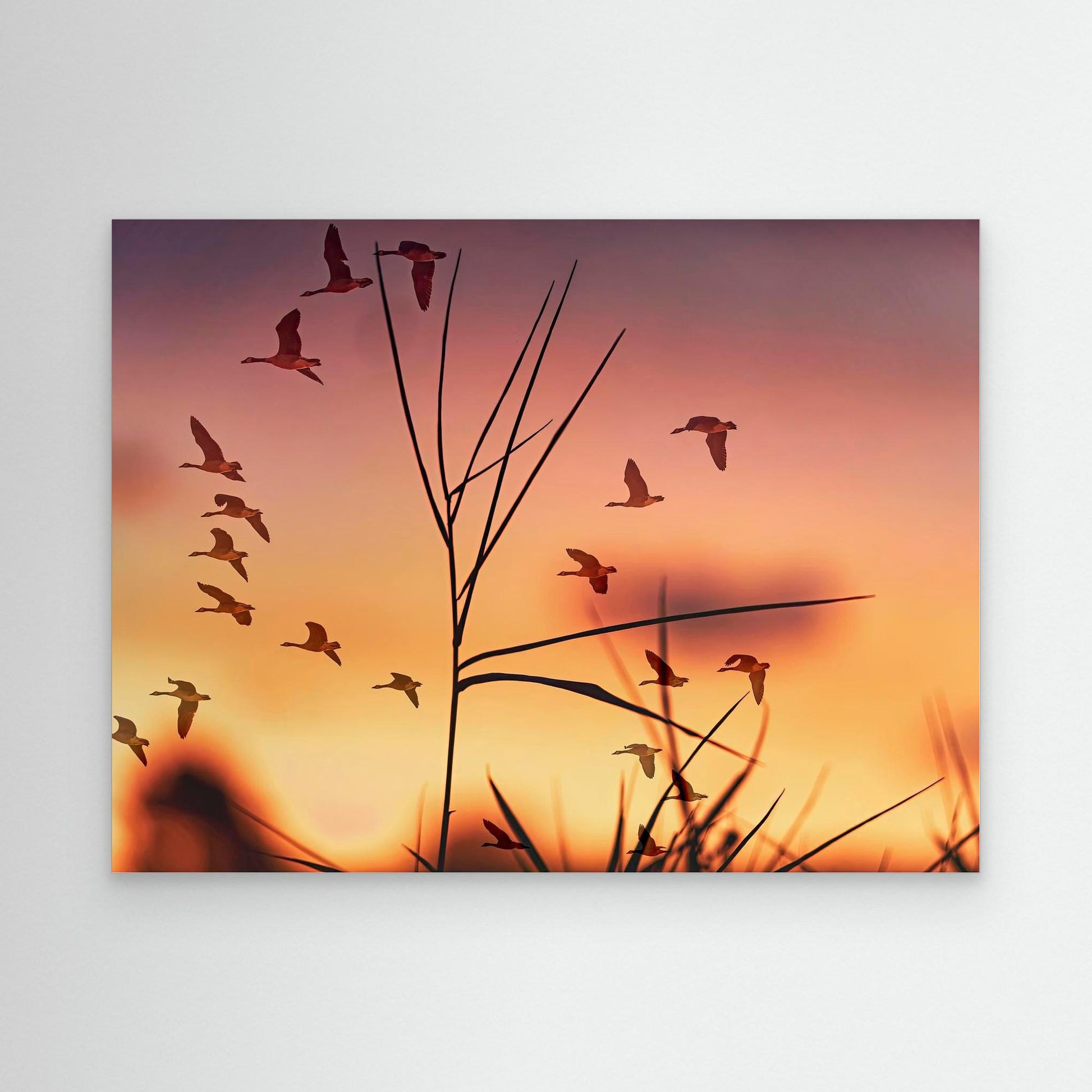 Sunrise in Red