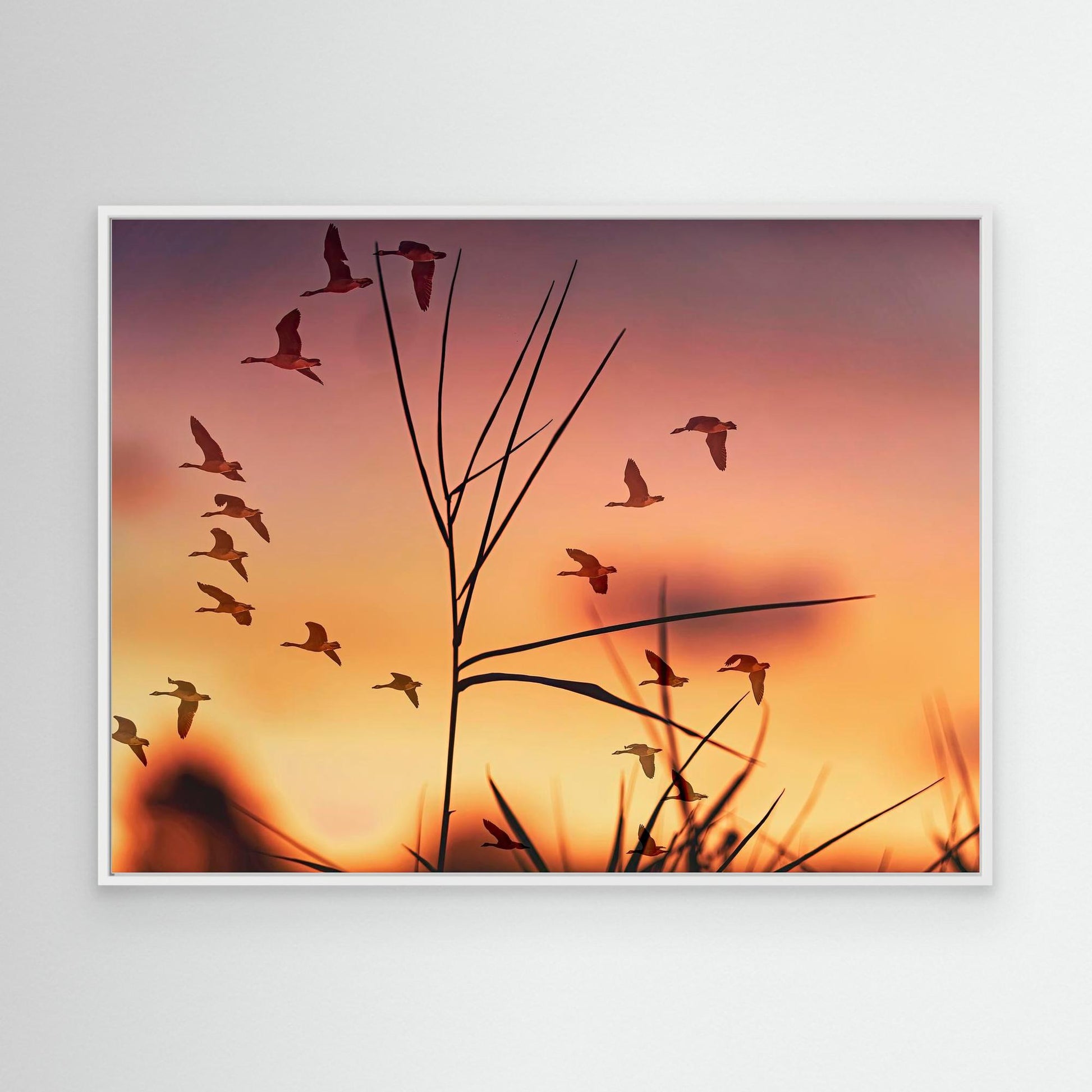 Sunrise in Red