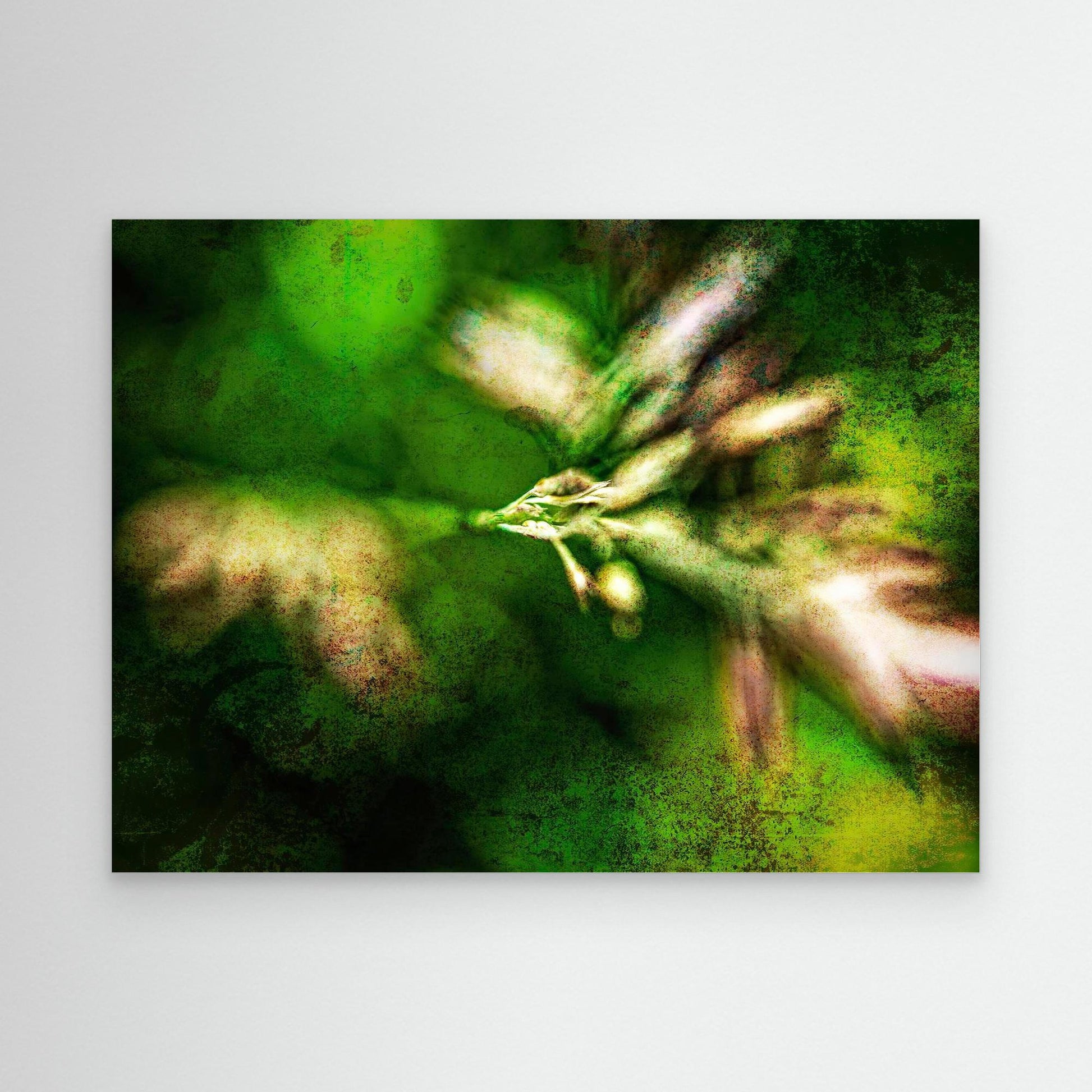 Plant Fairy