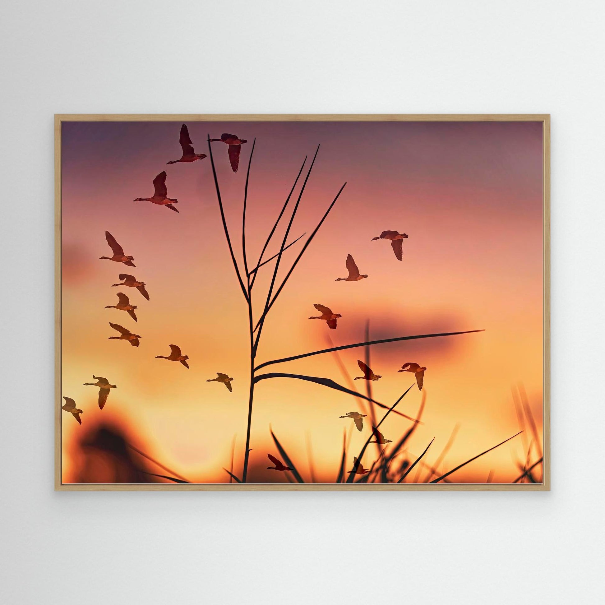 Sunrise in Red