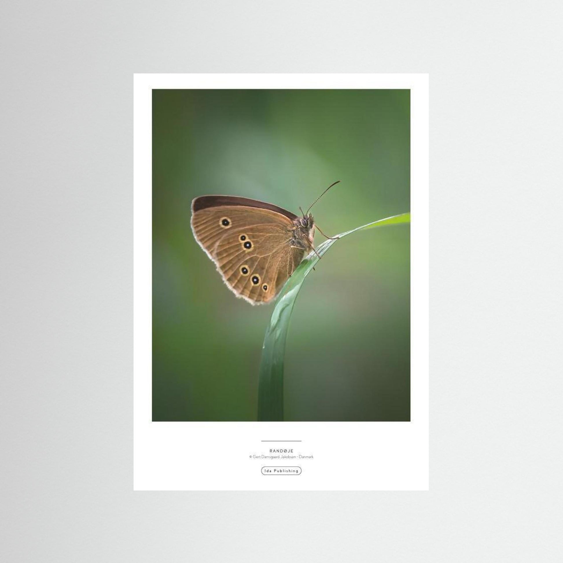 Randøje⎜Fine Paper Print