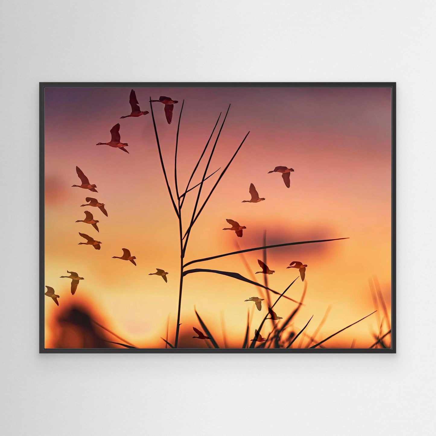 Sunrise in Red