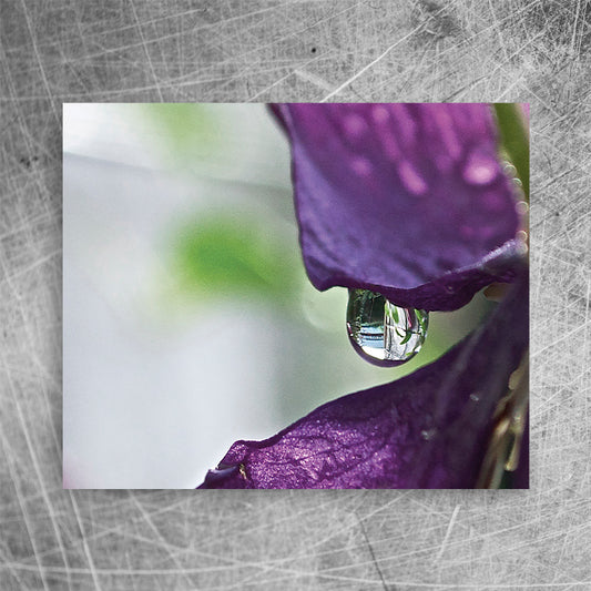 Drop⎜Canvas print
