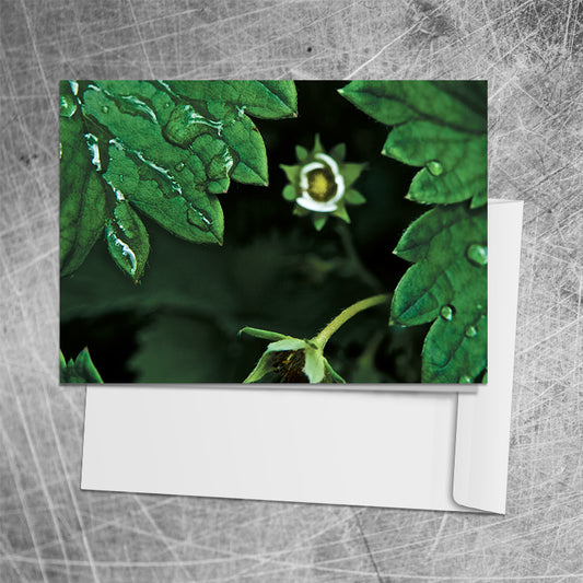 Strawberry Flower⎜Art Card