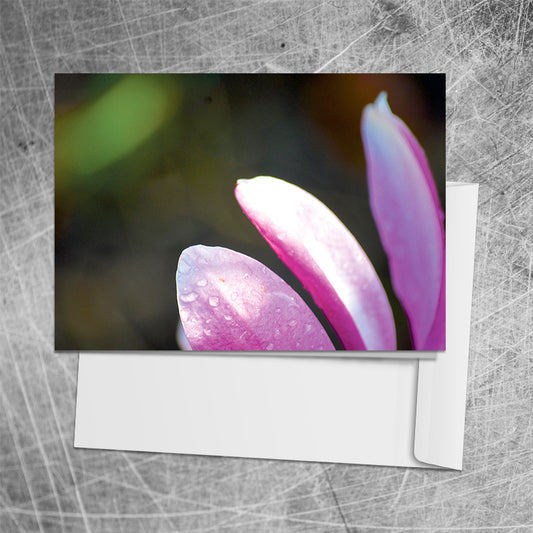 Petals⎜Art card