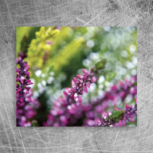 Heather⎜Canvas print